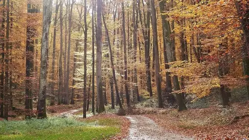  SEPTEMBRE 
