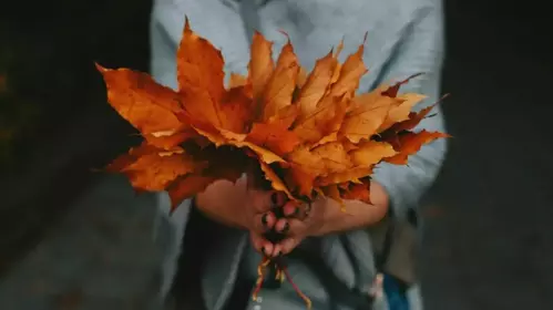 VOUS AVEZ DIT OCTOBRE ?