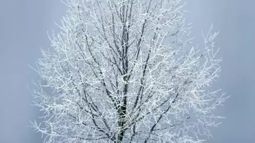 L'HIVER ARRIVE.., DECEMBRE...!